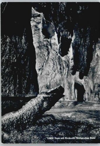 6340 Baar Walterswil ZG - Dom mit Krokodil, Höllgrotte AKU1