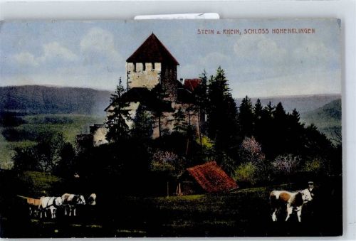 8260 Stein am Rhein - Schloss Hohenklingen AKU1