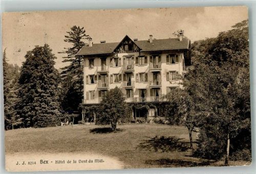 1880 Bex 1918 Foto AK Hotel de la Dent du Midi