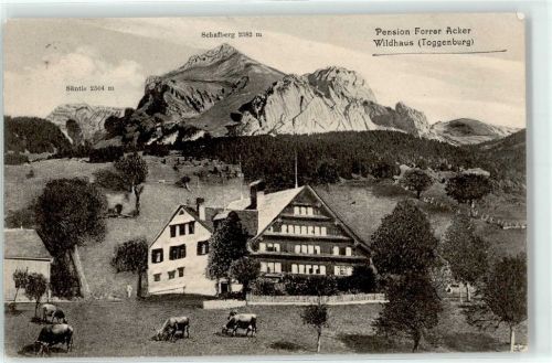 9658 Wildhaus - 1911 Pension Forrer Acker