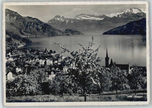 6353 Weggis Gebrauchsspuren AKU1