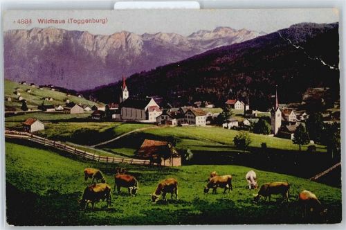 9658 Wildhaus Gebrauchsspuren Kuhweide AKU2