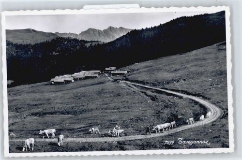 1884 Villars-sur-Ollon - Taveyannaz AKU2