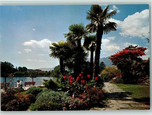 6600 Locarno - Palmen Promenade AKU1
