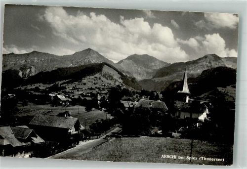 3703 Aeschi b. Spiez 1976 Foto AK