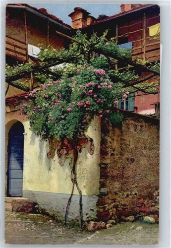 6600 Muralto - Haus AKU1