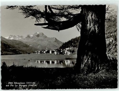 7513 Silvaplana - Blick mit Piz La Margna