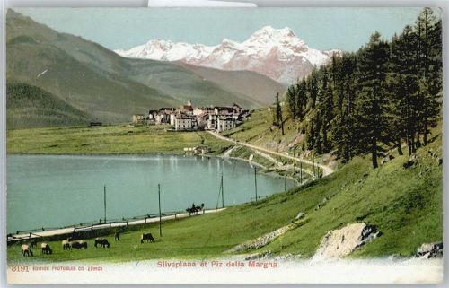 7513 Silvaplana - Piz Margna AKU1