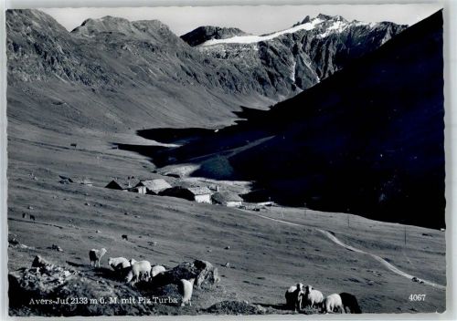 7447 Cresta (Avers) - Juf Blick mit Piz Turba