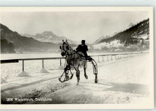 7500 St. Moritz - Wintersport Trabfahren Pferd
