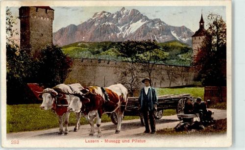 6000 Luzern Lucerne Lithographie / Künstlerkarte Musegg und Pilatus