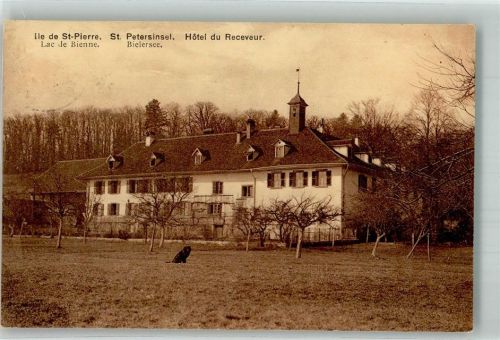 3235 Erlach Foto AK Hotel Receveur St. Peterinsel