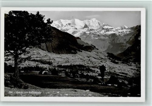 3703 Aeschi b. Spiez - Blümlisalp Baum