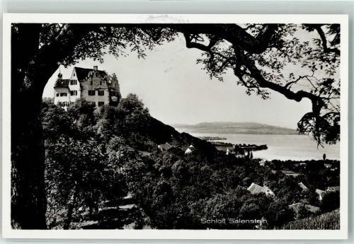 8268 Salenstein - Schloss