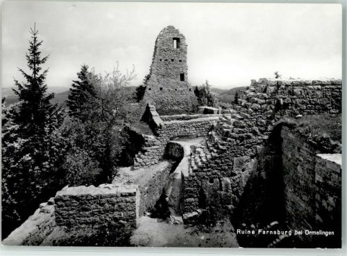4466 Ormalingen - Ruine Farnsburg