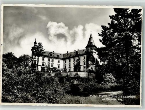 8536 Hüttwilen 1940 Foto AK Schloss Steinegg Kurhaus
