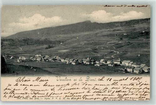 1325 Vaulion 1900 - Dent