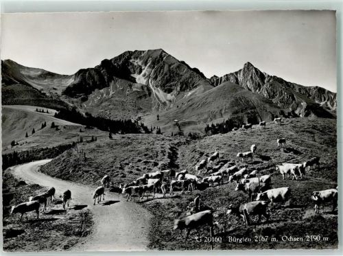 1722 Bourguillon Gebrauchsspuren Kuhherde