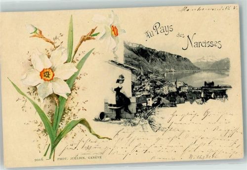 1815 Clarens 1901 - Narcisses Ort lt. Stempel