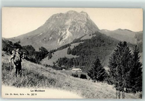 Le Moléson Les Paccots - Bauer