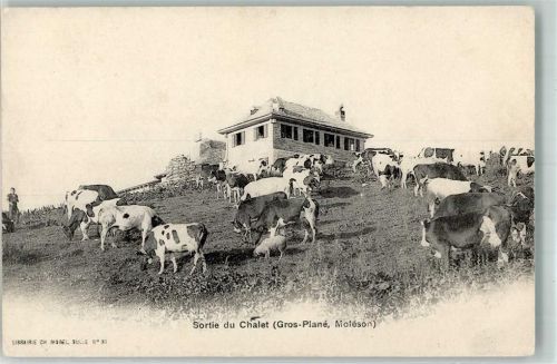 Le Moléson Les Paccots - Sortie du Chalet