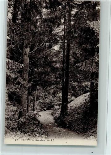 1823 Glion - Sous bois - unter Bäumen