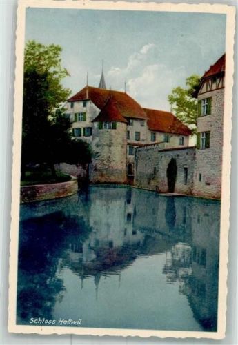 5705 Hallwil Foto AK Schloss