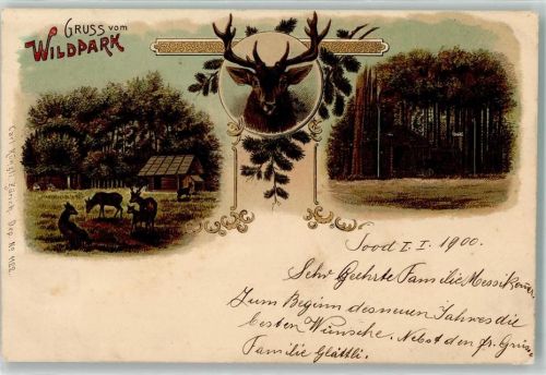 8135 Langnau am Albis 1899 Lithographie Wildpark Hirsch Carl Künzli Zürich Dep. Nr. 1122