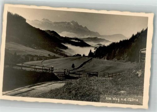 Gäbris Foto AK Weg nach Gäbris