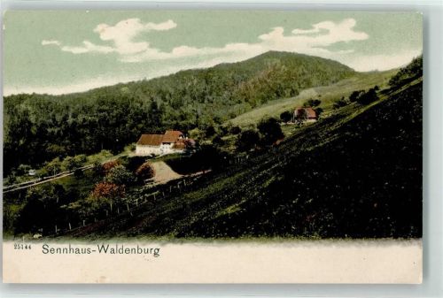 4437 Waldenburg 1910 - Sennhaus