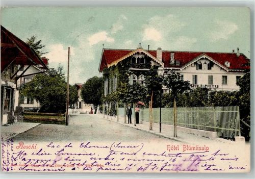 3703 Aeschi b. Spiez 1905 Foto AK Hotel Blümlisalp