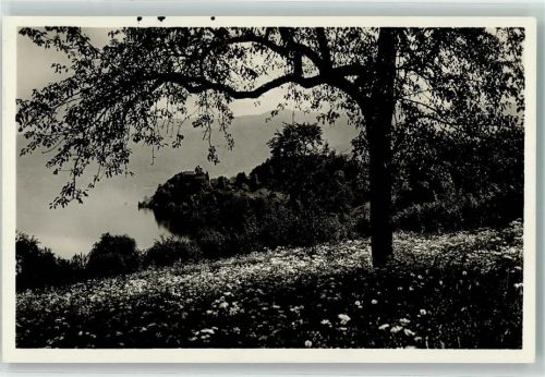 6343 Risch - Kurhaus Waldheim Schloss Buonas