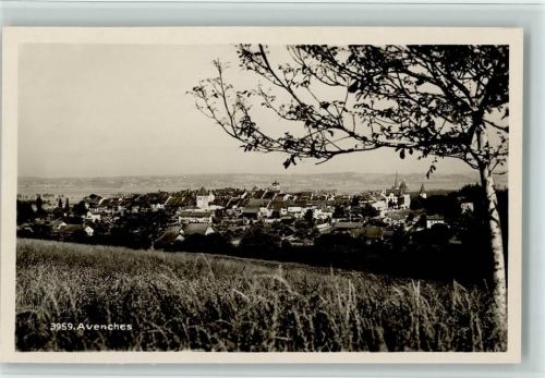 1580 Avenches - Baum