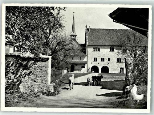 8608 Bubikon Foto AK Schafe Huhn Foto Honegger