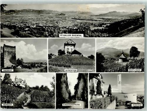 9462 Montlingen Foto AK St. Galler Rheintal Oberriet Altstätten Marbach Rebstein Foto Gross