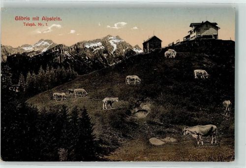 Gäbris 1916 - Alpstein Kühe auf der Weide