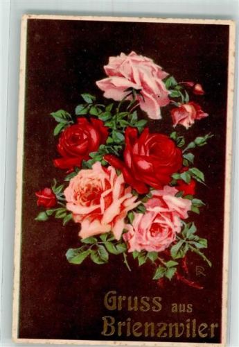 3856 Brienzwiler - Blumenportrait