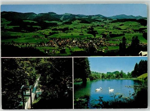9606 Bütschwil Foto AK Drahtsteg Zuckermattweiher Schwäne Foto Gross