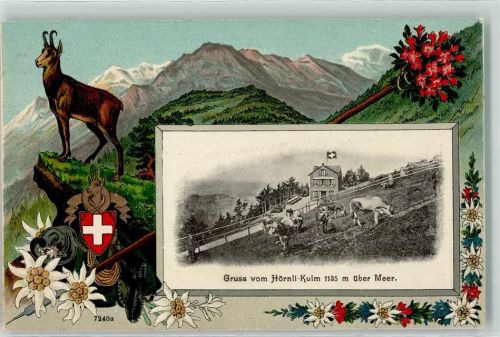 8496 Steg im Tösstal 1912 Prägedruck Gams Kühe Wappen Hörnli Kulm Lithographie