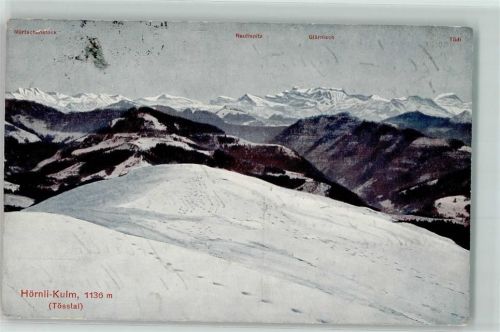 Hörnli ZH Gebrauchsspuren Rautispitz Glärnisch Tödi