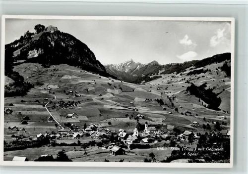 9655 Stein SG - mit Goggeien und Speer