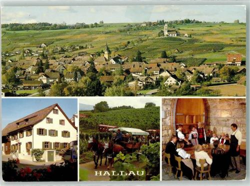 8215 Hallau Foto AK Weinkeller Verkostung Foto Künzi