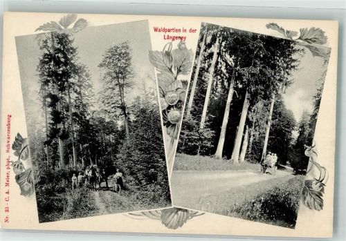 3153 Rüschegg Gambach 1908 - Waldpartien Längeney