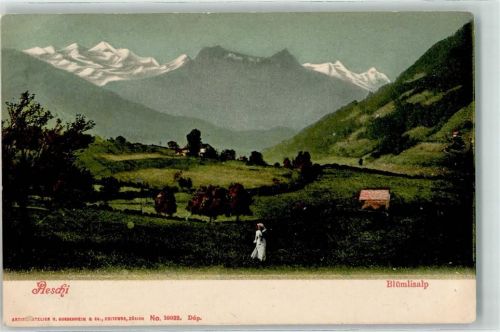 3703 Aeschi b. Spiez - Blümlisalp