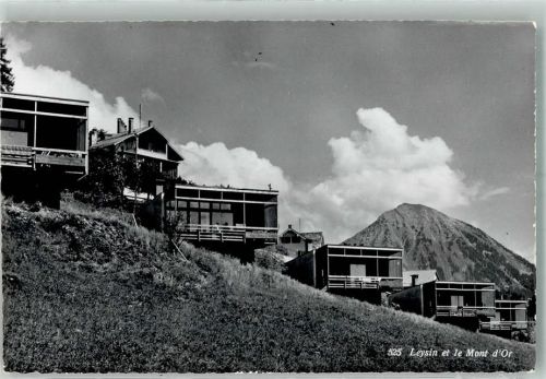 1854 Leysin Foto AK Pension Mont d´Or