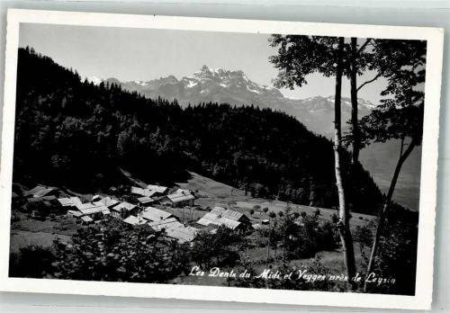 1854 Leysin Foto AK