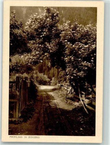 7220 Schiers - Heimatbilderserie Frühling