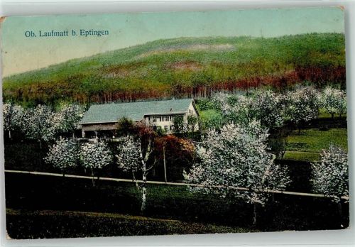 4458 Eptingen 1910 - Obere Laufmatt Bäume im Blust