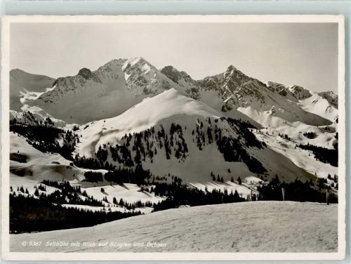 Gantrisch Gebrauchsspuren Bürglen Ochsen Winter