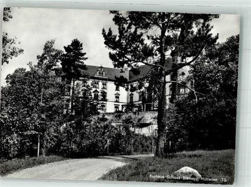 8536 Hüttwilen Foto AK Schloss Steinegg Kurhaus
